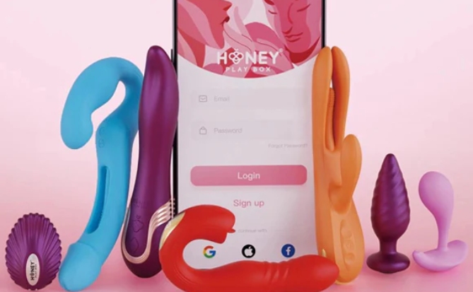 Analyzing HoneyPlayBox How to Sell Sex Toys